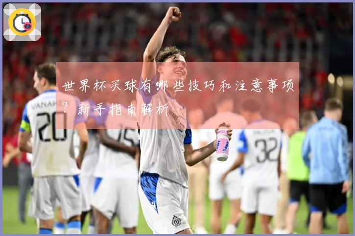 世界杯买球有哪些技巧和注意事项？新手指南解析