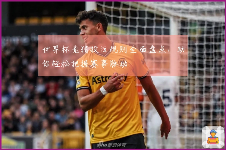 世界杯竞猜投注规则全面盘点，助你轻松把握赛事脉动