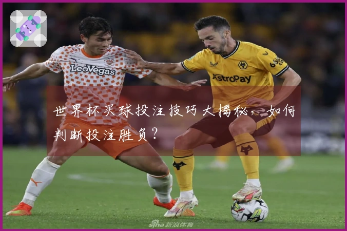 世界杯买球投注技巧大揭秘，如何判断投注胜负？