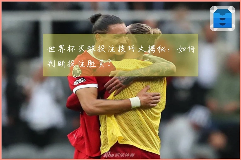世界杯买球投注技巧大揭秘，如何判断投注胜负？