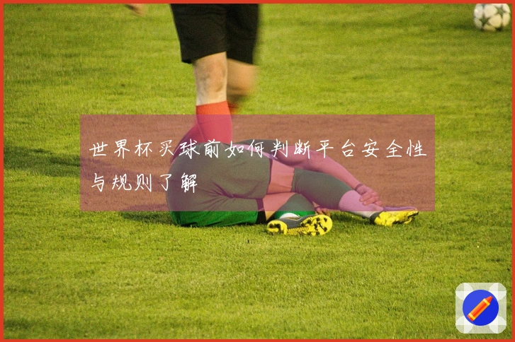 世界杯买球前如何判断平台安全性与规则了解