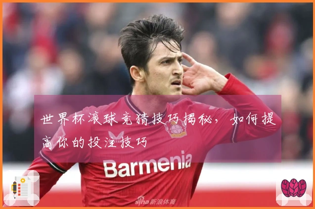 世界杯滚球竞猜技巧揭秘，如何提高你的投注技巧